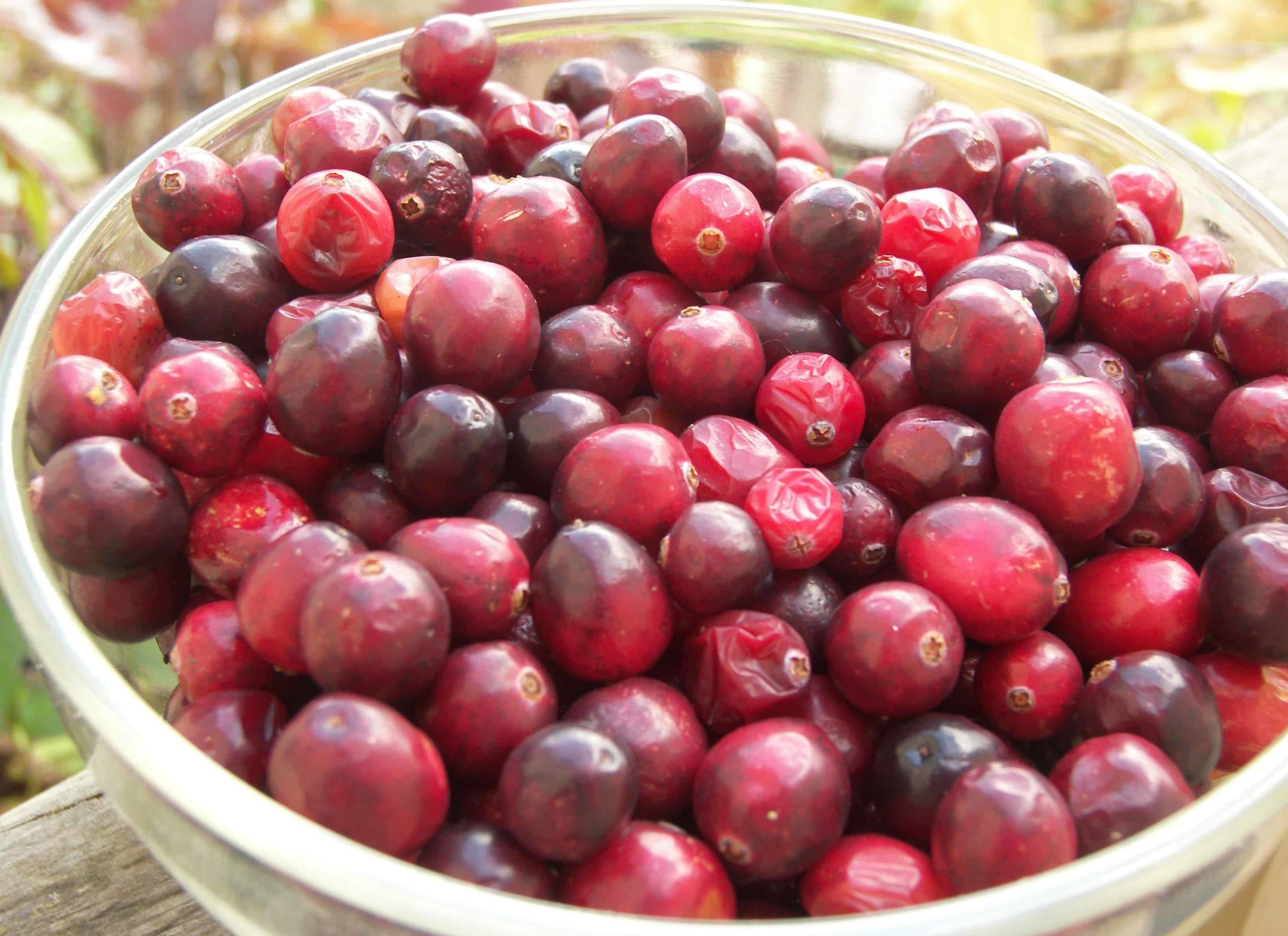 what-can-i-do-with-raw-cranberries