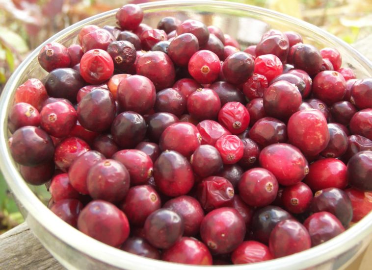 What can I do with raw cranberries?