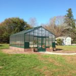 What can I grow in an unheated greenhouse over winter?