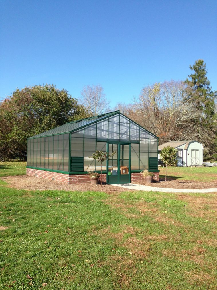 What can I grow in an unheated greenhouse over winter?