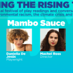 What can I put mambo sauce on?