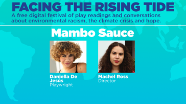 What can I put mambo sauce on?