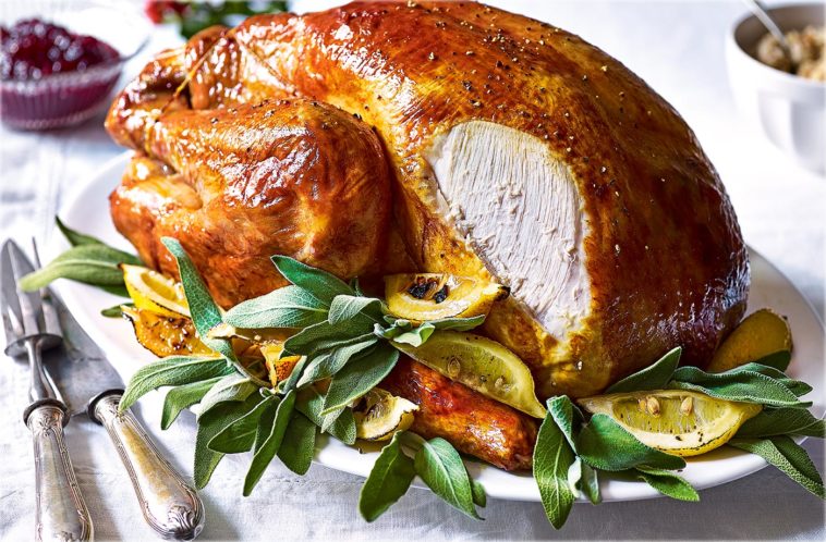 What can I serve for Christmas dinner besides turkey?