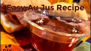 What can I substitute for au jus?