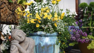 What can I use if I don't have a wire rack?