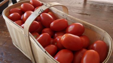 What can I use if I don't have diced tomatoes?