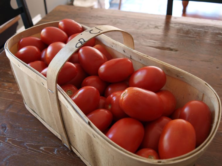What can I use if I don't have diced tomatoes?