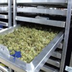 What can I use instead of a drying rack?