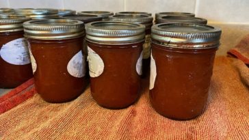 What can I use instead of taco sauce?