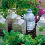 What can you not put in a swell bottle?