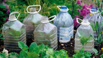 What can you not put in a swell bottle?