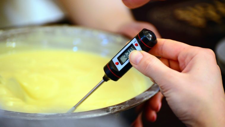 What candy thermometer do professionals use?