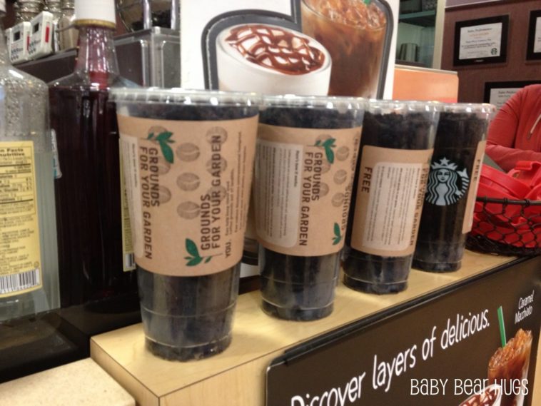 What coffee grounds does Starbucks use for espresso?