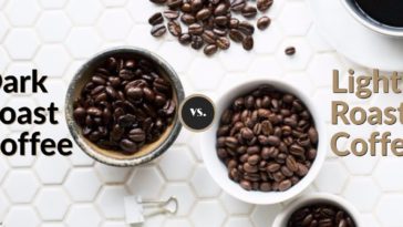What coffee is stronger medium or dark roast?