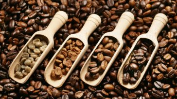 What coffee roast is the healthiest?