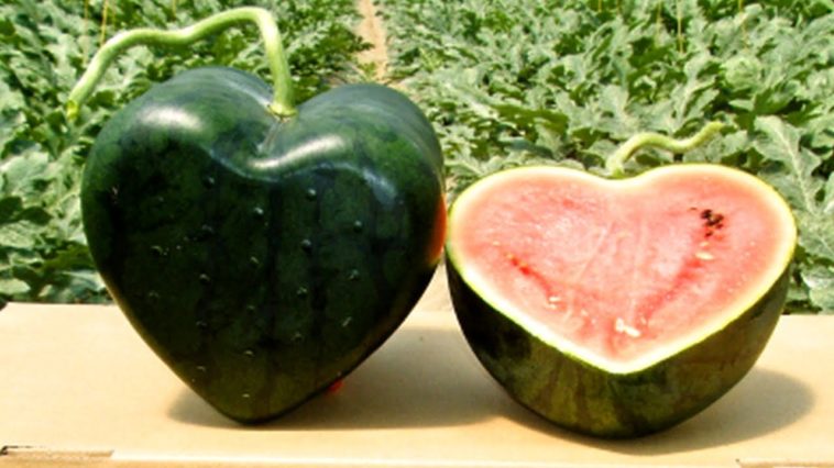 What color watermelon is best?