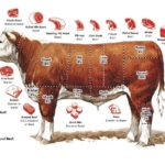 What cut of beef is best for pies?