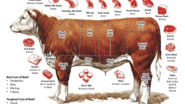 What cut of beef is best for pies?