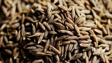 What dishes is cumin good in?