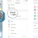 What do I do with all the pictures on my phone?