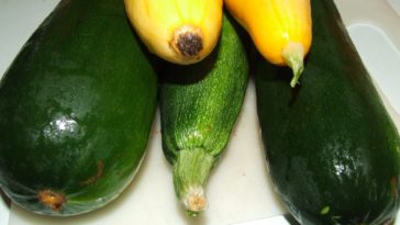 What do I do with all this zucchini?