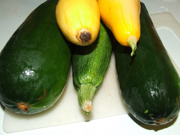 What do I do with all this zucchini?