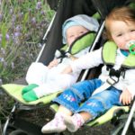 What do Irish call babies?