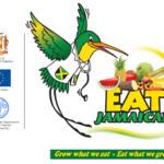 What do Jamaicans eat on Ash Wednesday?