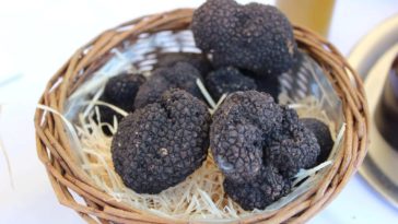 What do black truffles taste like?