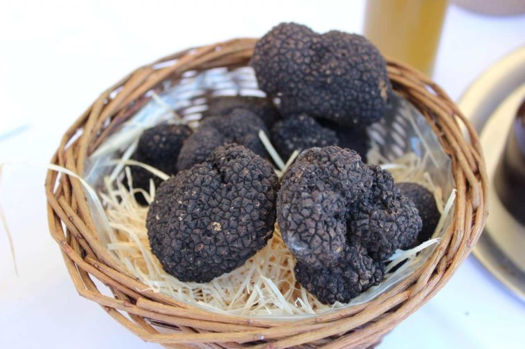 What do black truffles taste like?
