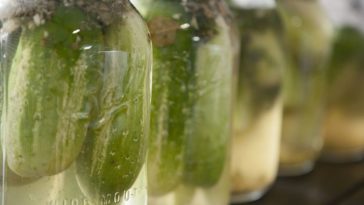 What do half sour pickles taste like?