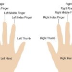 What do long fingers mean on a girl?