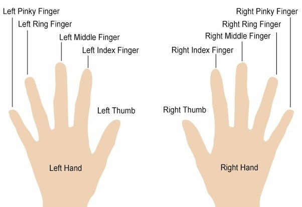 What do long fingers mean on a girl?