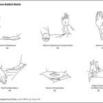 What do the Buddha's hand gestures symbolize?