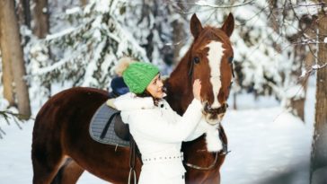 What do you buy a horse lover for Christmas?