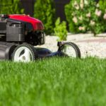 What do you do with Easter grass?