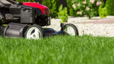 What do you do with Easter grass?