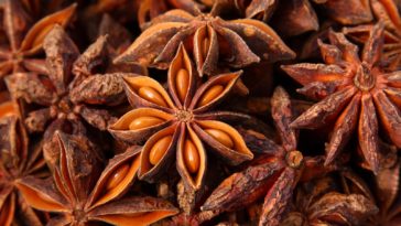 What do you use anise extract for?
