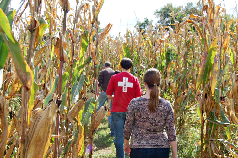 What do you wear to a corn maze?