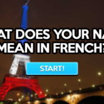 What does Bushwa mean in French?