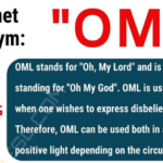 What does Chelada mean in Spanish?