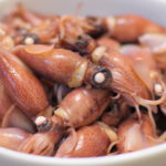 What does a giant squid taste like?