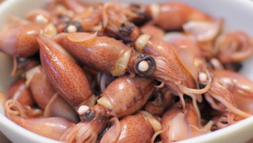What does a giant squid taste like?