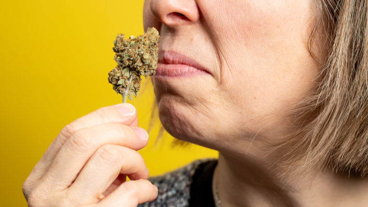 What does bad cornmeal smell like?