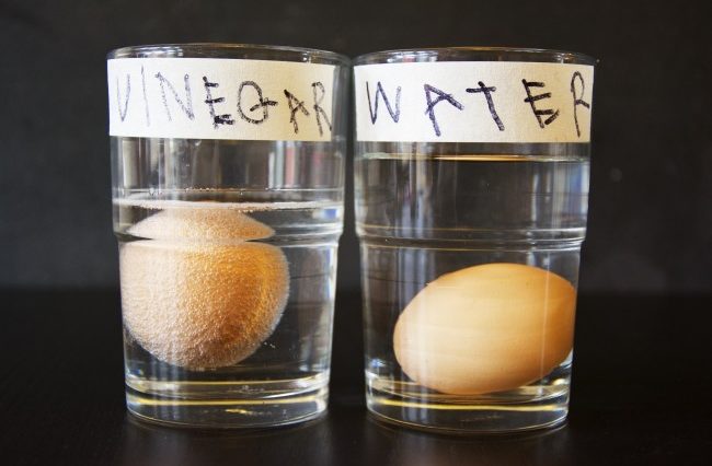 What does coke and vinegar do to an egg?
