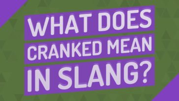 What does crock mean in slang?