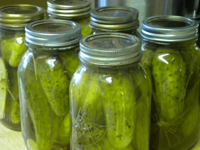 What does dill my pickle mean?