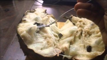 What does graviola look like?