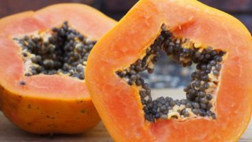 What does harissa taste like?