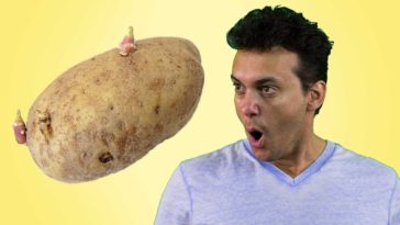 What does it mean if a potato is purple?